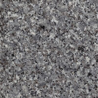 Гранитная брусчатка CSG-018 (10*10*1,6) Talia Grey Granite шлифованная